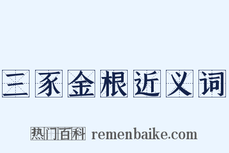 三豕金根近义词是什么意思的图片